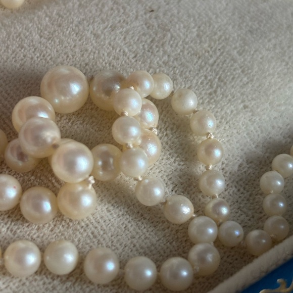 Lady Ellen cultured pearls - Picture 8 of 14